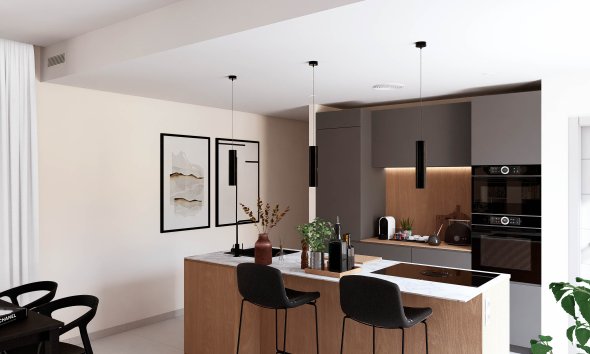 Obra nueva - Villa -
Murcia