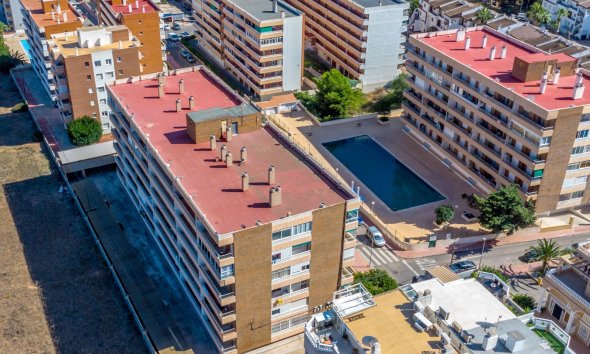 Reventa - Apartamento -
Torrevieja
