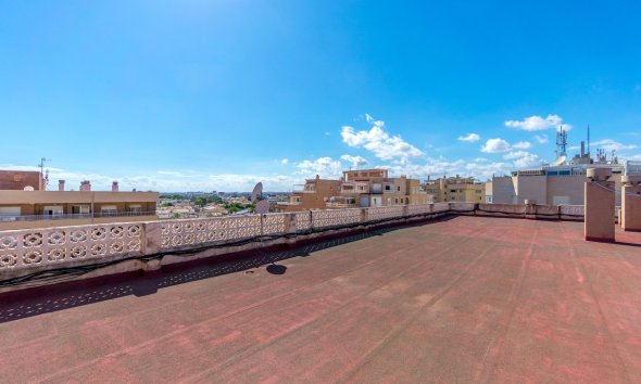 Reventa - Apartamento -
Torrevieja