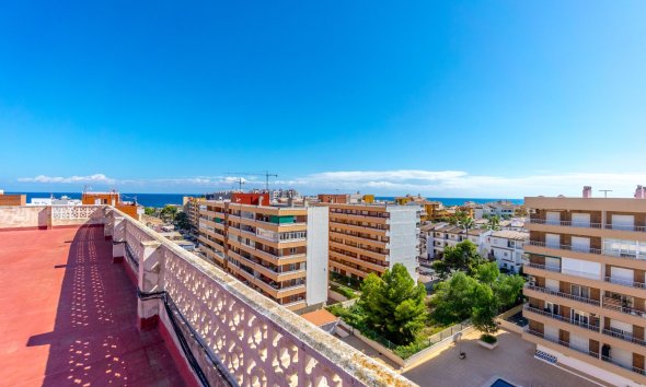 Reventa - Apartamento -
Torrevieja