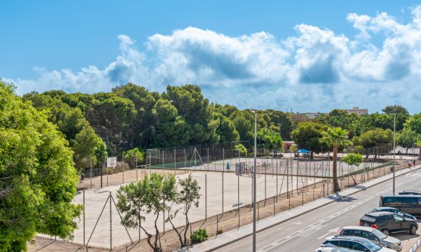 Obra nueva - Villa -
Pilar de la Horadada