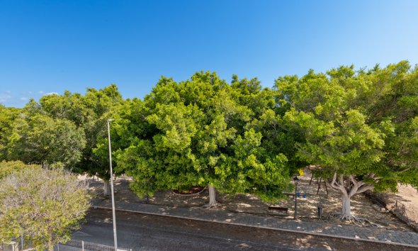 Obra nueva - Villa -
Pilar de la Horadada