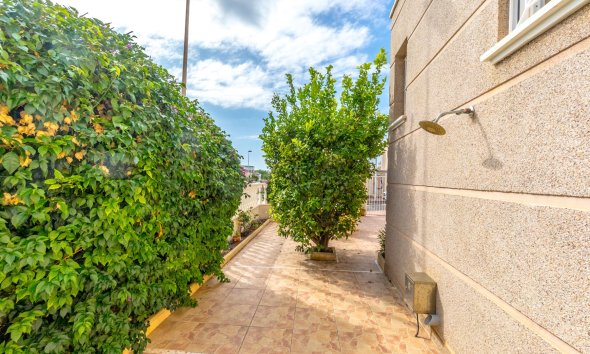 Reventa - Adosado -
Torrevieja