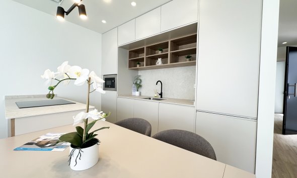 Obra nueva - Villa -
Torre de la Horadada