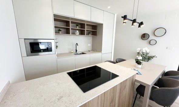 Obra nueva - Villa -
Torre de la Horadada