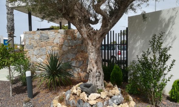 Obra nueva - Apartamento -
Torrevieja