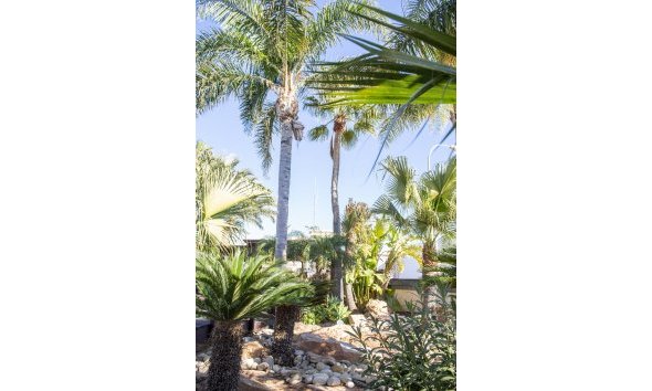 Obra nueva - Villa -
San Pedro del Pinatar