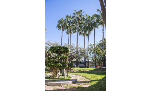 Obra nueva - Villa -
San Pedro del Pinatar