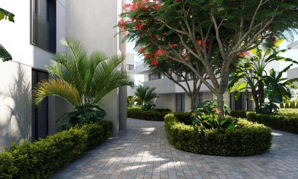 Obra nueva - Apartamento -
Torre-Pacheco