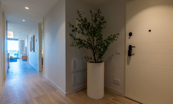 Obra nueva - Apartamento -
Guardamar del Segura