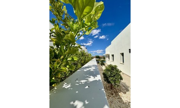 Nybyggeri - Villa -
Benijofar