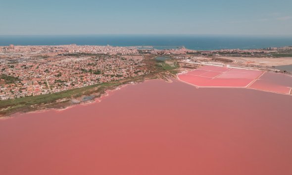 Obra nueva - Apartamento -
Torrevieja