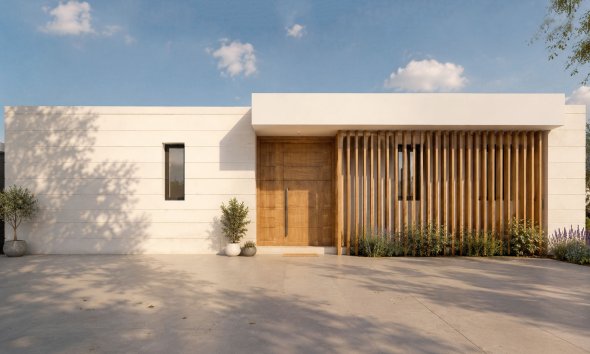 Obra nueva - Villa -
Pilar de la Horadada