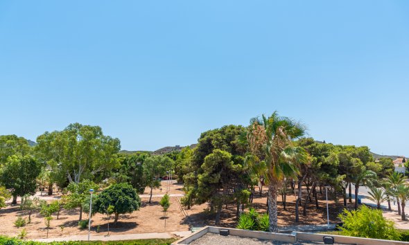 New Build - Villa -
Playa Paraiso