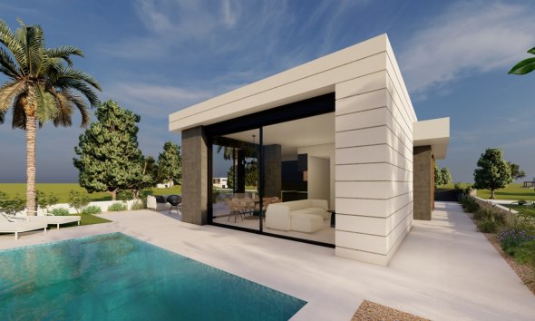 Obra nueva - Villa -
Pilar de la Horadada