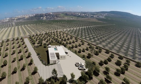 Nybyggeri - Villa -
Algorfa